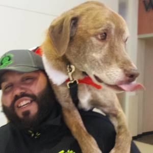 Meet your Posher, Matt